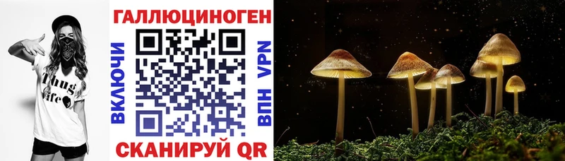 Псилоцибиновые грибы Cubensis  где можно купить наркотик  Кемь 